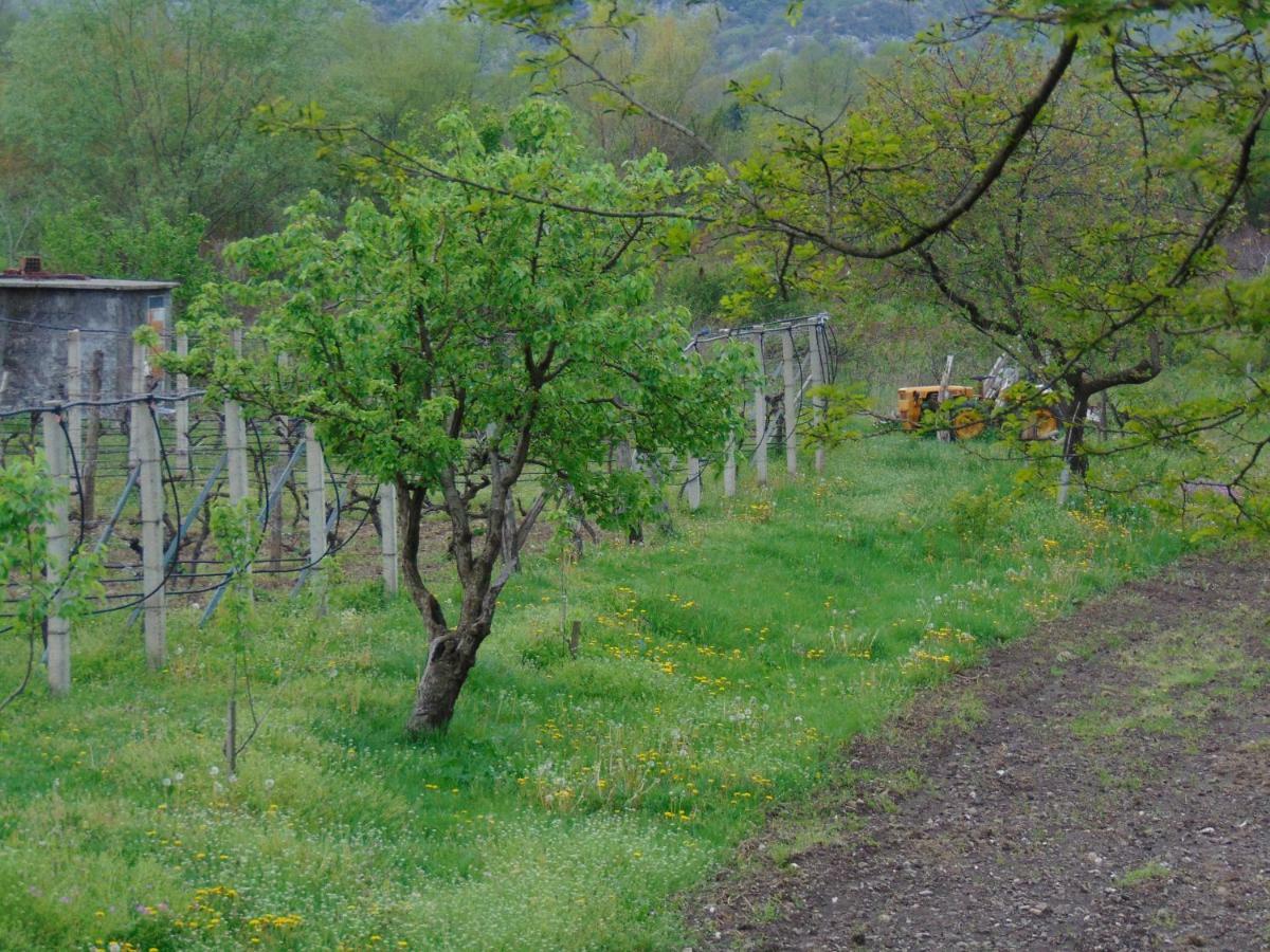 Studio And Winery Kalimut Virpazar Exterior photo