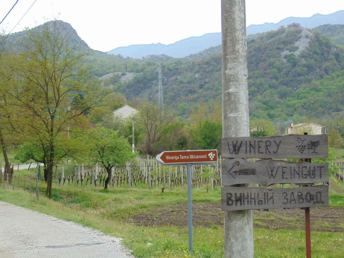 Studio And Winery Kalimut Virpazar Exterior photo