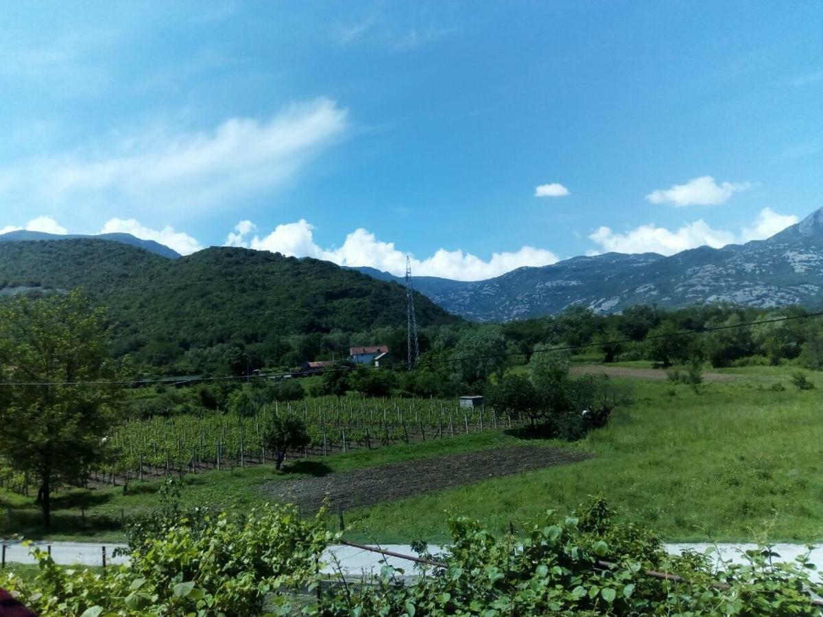 Studio And Winery Kalimut Virpazar Exterior photo